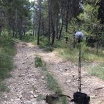 Field Recording by Marc Doutrepont