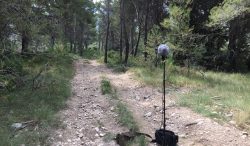 Field Recording by Marc Doutrepont